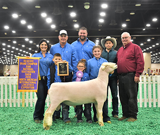 FP Livestock Winners